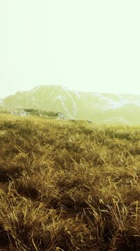 Grass covers the hills in the foreground as the mountains rise in the background. The sunlight brightens the scene, creating a warm, inviting atmosphere in the afternoon.