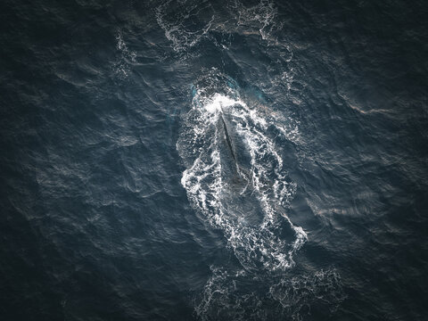 Aerial view of a whale surfacing in the deep blue ocean waters near the coast of Torndirrup, Western Australia, Australia.