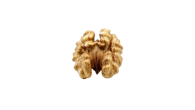A single raw walnut kernel showing the intricate brain-like texture and light brown color of the nut meat isolated on a solid black background