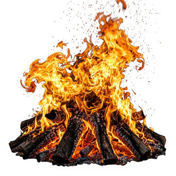 Bright bonfire with burning firewood logs isolated on transparent background