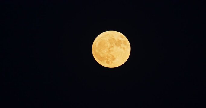 Full strawberry moon shining brightly in a deep blue night sky. Concept of nature, astronomy, and tranquility landscape video