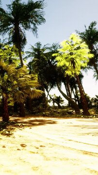 Tall palm trees stand on either side of a sandy path. Bright sunlight shines down, creating a tropical atmosphere. Leaves rustle gently in the air as nature flourishes.