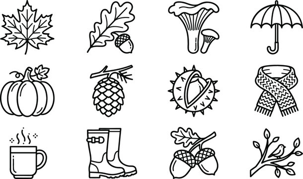 Autumn line icon set featuring maple leaf oak acorn mushroom umbrella pumpkin pinecone chestnut scarf hot mug rubber boots and bird branch