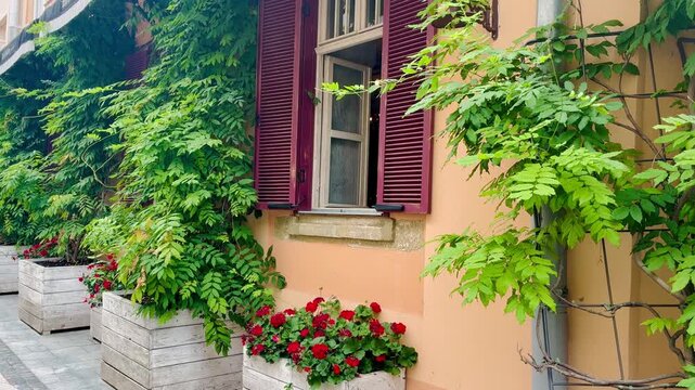 Old historical european house with wooden window shutters and plants decoration in the city of Lviv Ukraine