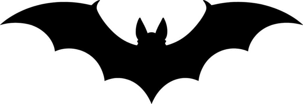 murcielago, halloween, cara, horror, antifaz, mujer, arte, calavera, alarmante, corruptamente, negro, pintando, moreno, aborto, persona, miedo, vampiro, carnaval, muerto, asustadizo, moda, ocular, dis