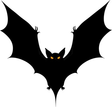 murcielago, halloween, cara, horror, antifaz, mujer, arte, calavera, alarmante, corruptamente, negro, pintando, moreno, aborto, persona, miedo, vampiro, carnaval, muerto, asustadizo, moda, ocular, dis