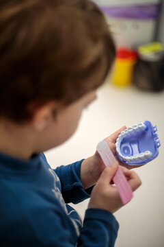 Young boy holding a purple dental jaw model and a pink brushing chart while learning proper teeth cleaning technique at the pediatric dental clinic this afternoon