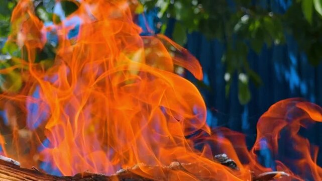 Intense orange fire flames burning charcoal close up view. Bright bonfire blazing outdoors with blurred green foliage and blue sky in background.