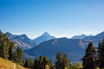 Obraz premium Horizontal caucasus mountain view framed by pine trees under clear blue sky in Arkhyz Karachay Cherkessia Russia.