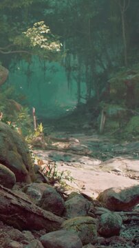 A green forest path leads into the trees. Morning light shines through the branches, illuminating the rocks and plants along the way. The scene feels fresh and alive with nature.