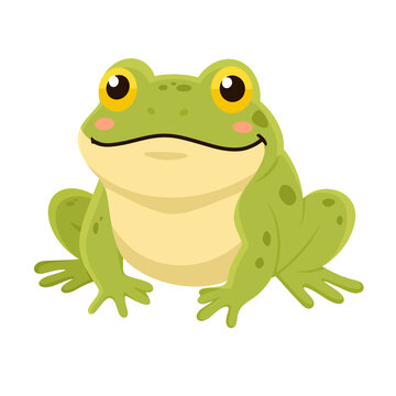 Cute Frog Illustration