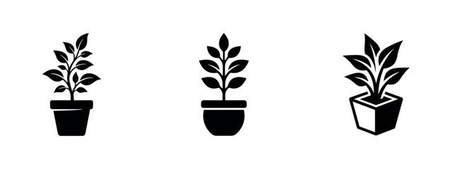 Obraz premium Elegant Potted House Plant Icon Set