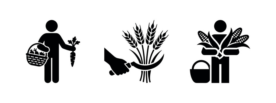 Harvesting and agriculture icons set. Farmer collecting crops vector illustration.