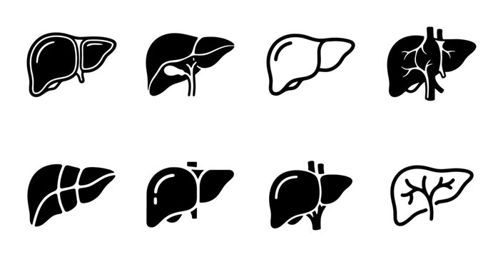 Human Liver Icons Set: Medical Anatomy Vector Graphics, Organ Health Illustrations, Biological Science Symbols