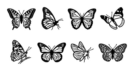 Elegant Butterfly Silhouettes Vector Collection: Delicate Insect Graphics for Nature Designs © Hamida