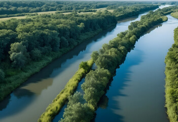 Fototapeta premium Aerial view of winding river with lush green trees