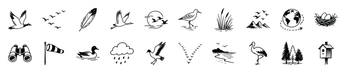 Obraz premium Collection of hand-drawn black and white icons depicting various birds, nature elements, and birdwatching equipment in a sketch style