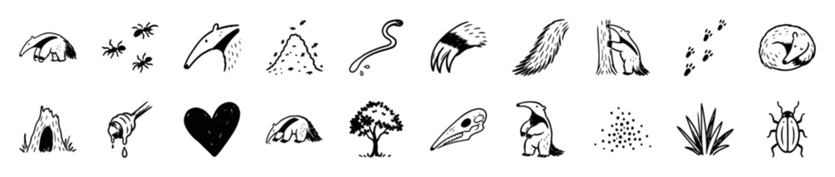 Hand-drawn black and white anteater themed icons including the animal, ants, ant hill, honey, and other related elements