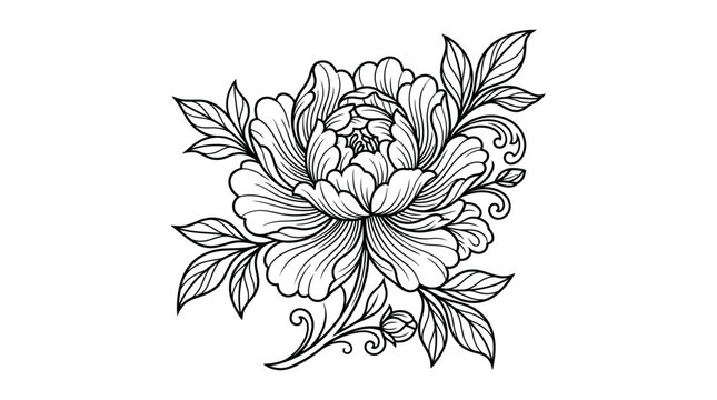 Peony flower line art illustration with leaves and scrolls