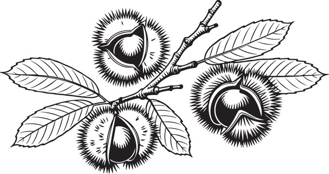 Realistic chestnut composition with nuts autumn leaf vector illustration
