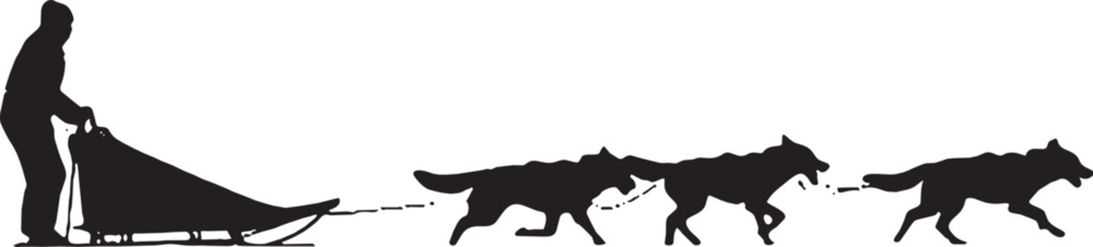 Black silhouette of a dog sled team with a musher and three huskies running in the winter snow isolated on transparent background, Vector