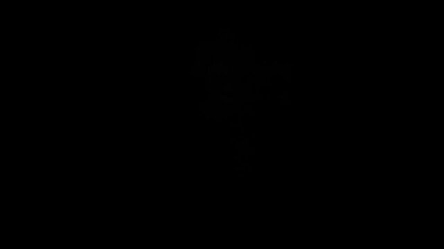 A fire explosion with flames. Can be used for projects with where a backdraft backgrounds bang big black bomb burning color concepts crash danger destruction erupting exploding explosive fire fireball