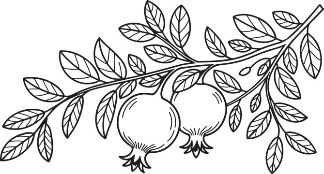 Autumn fruits hanging tree branch garden