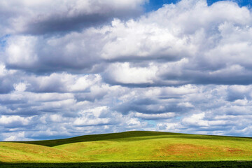 Fototapeta premium green field and blue sky