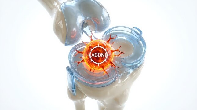 3D Rendering of a Diseased Knee Joint Showing an Agoni Inflammatory Agent Causing Pain and Damage