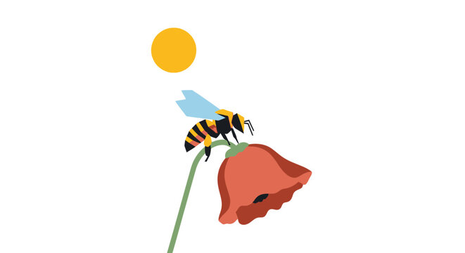 Honeybee collecting nectar from a red flower.