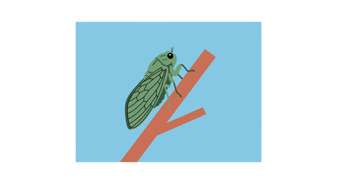 Green cicada resting on a thin orange branch.