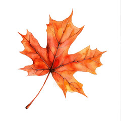 Fototapeta premium Fallen Maple Leaf, watercolor painting vector, isolated on a white background.