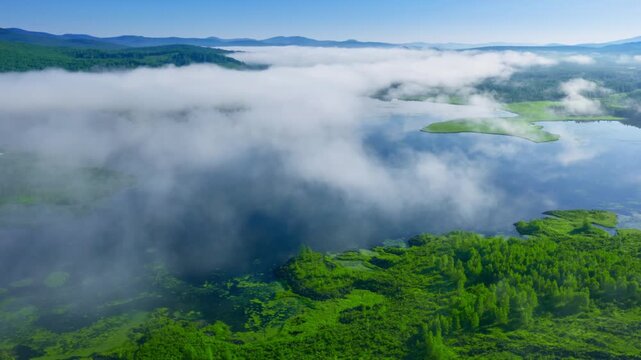 Aerial shot of foggy wetlands from a bird's eye view.Filmed in 4k, drone video.