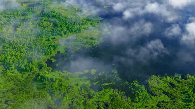 Aerial shot of foggy wetlands from a bird's eye view.Filmed in 4k, drone video.