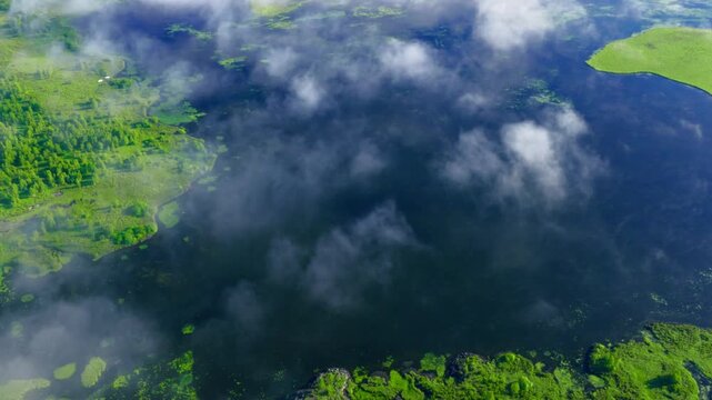 Aerial shot of foggy wetlands from a bird's eye view.Filmed in 4k, drone video.