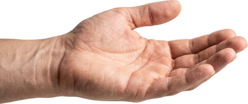 Close up view of a man's open palm and hand extended showing texture lines and veins with a neutral tone and soft lighting open hand human hand male gesture fingers skin detail