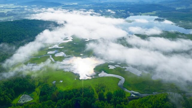 Morning Mist Over Lush Forested Wetlands with Glistening Rivers