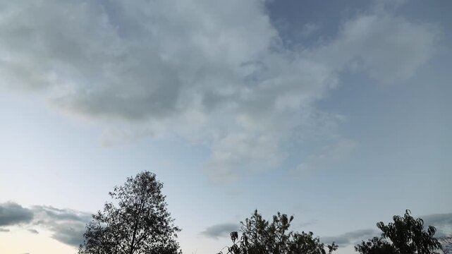 timelapse of pastel toned clouds drifting over trees in the wind at dusk, peaceful nature scene with soft colors, atmospheric sky and tranquil evening landscape, unedited colours