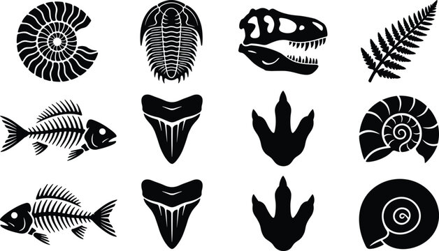 Fossil silhouette set ammonite trilobite dinosaur skull tracks shells black vector icons