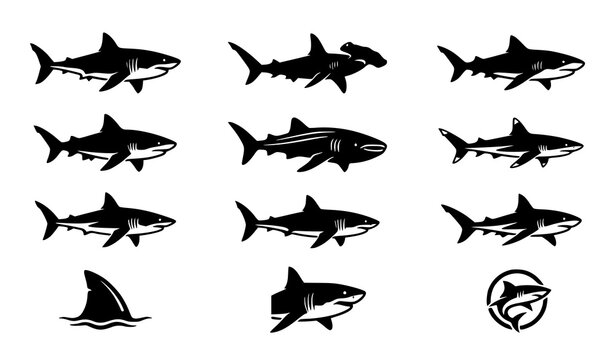 Shark silhouette icon set featuring great white hammerhead tiger shark and marine wildlife vectors