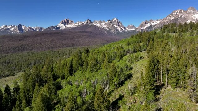 Fishhook creek aspen grove and distant Sawtooth mountains