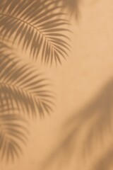 Palm leaf shadows on warm beige plaster wall with copy space © Tharshan