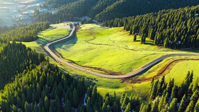 Aerial view of winding road traversing lush green mountain meadow and dense pine forest under warm sunlight in Xinjiang, China.
