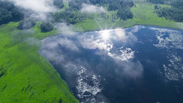Aerial view of misty wetland with lake and forest