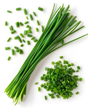 chives stems botanical closeup isolated on white background