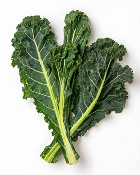kale leaves with soft studio shadow isolated on white background