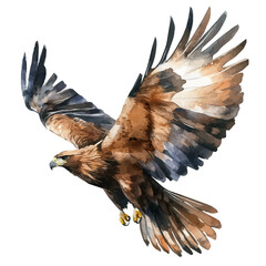 Golden Eagle, clipart watercolor vector with gentle, isolated on a white background. © brixel
