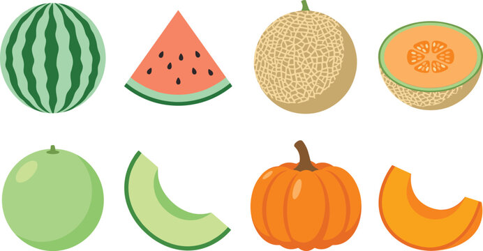 Flat vector set of organic melons and pumpkin icons for summer and autumn food branding