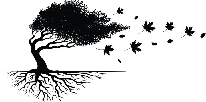 Tree bending in strong wind with flying maple leaves silhouette, underground roots vector graphic design illustration