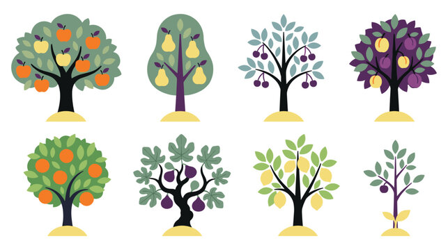Collection of fruit trees flat vector illustrations with various types of orchard plants.
